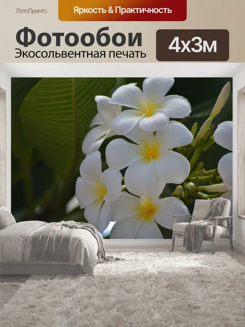 400 × 300 см · Экосольвентная печать