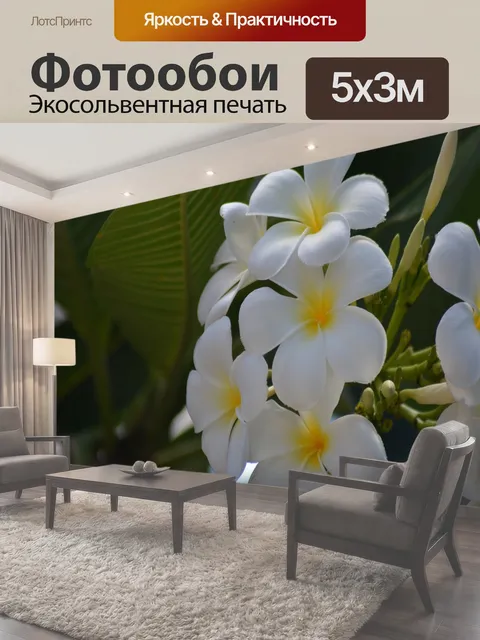 500 × 300 см · Экосольвентная печать