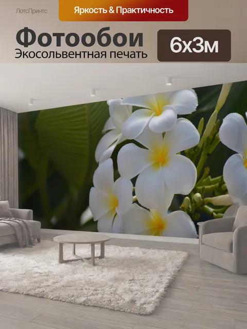 600 × 300 см · Экосольвентная печать