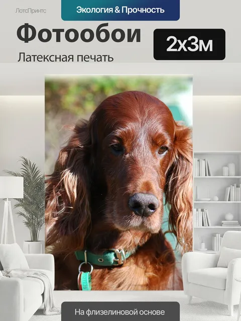 200 × 300 см · Латексная печать