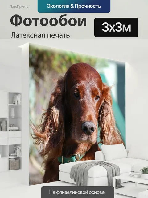 300 × 300 см · Латексная печать