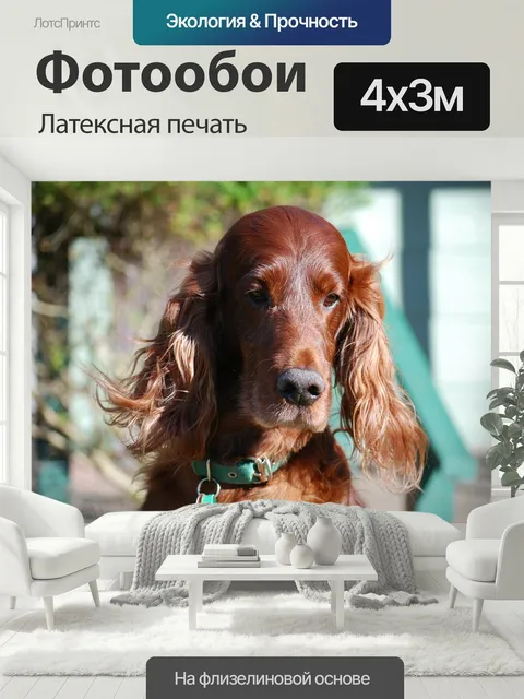 400 × 300 см · Латексная печать