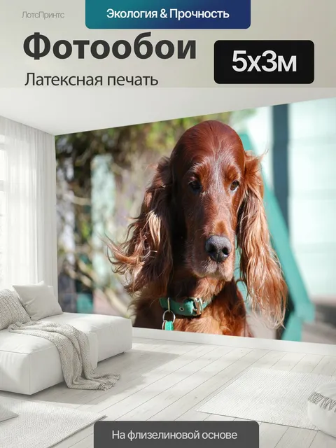 500 × 300 см · Латексная печать
