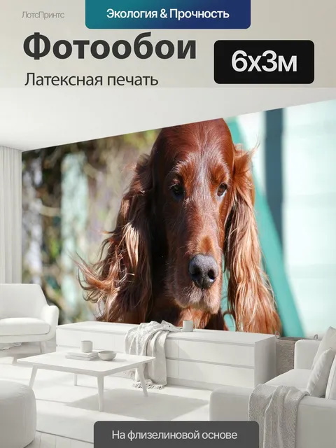600 × 300 см · Латексная печать