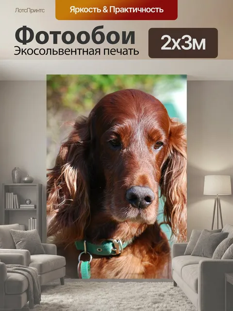 200 × 300 см · Экосольвентная печать