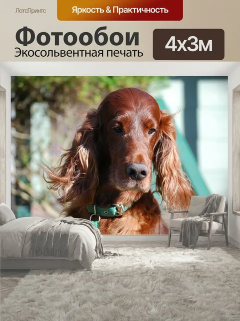 400 × 300 см · Экосольвентная печать