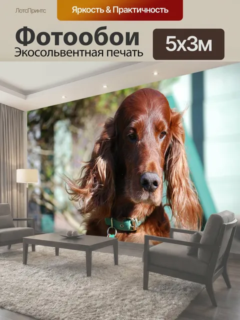 500 × 300 см · Экосольвентная печать