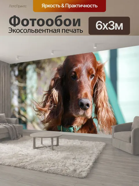 600 × 300 см · Экосольвентная печать