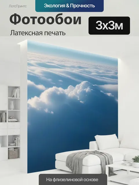 300 × 300 см · Латексная печать