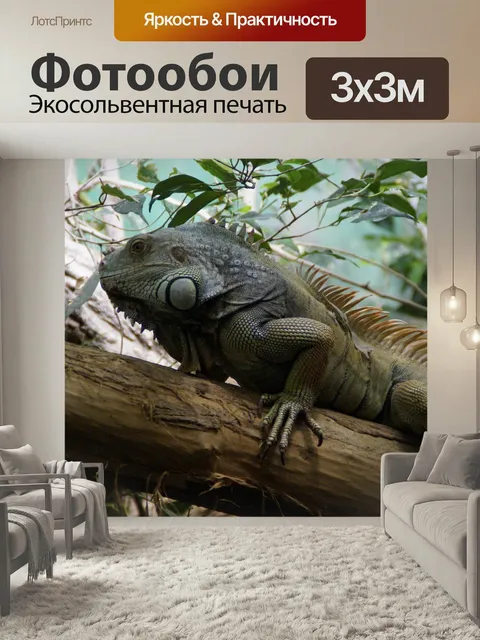 Фотообои Игуана, рептилия, ящерица