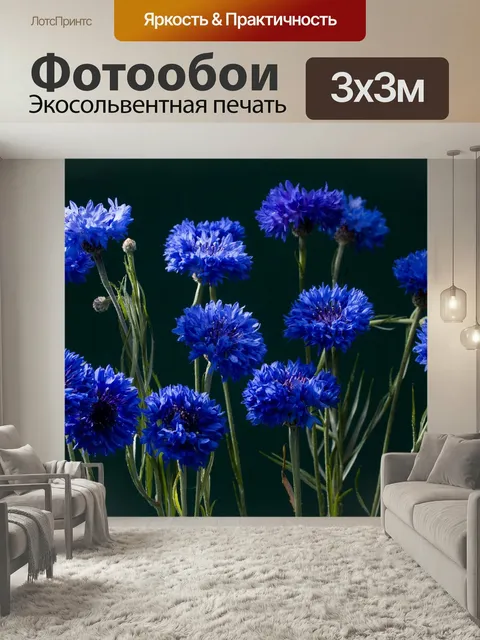 Фотообои Васильки, цвести, синий