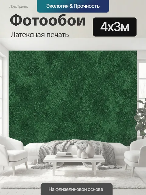 400 × 300 см · Латексная печать