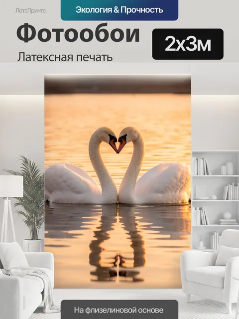 200 × 300 см · Латексная печать