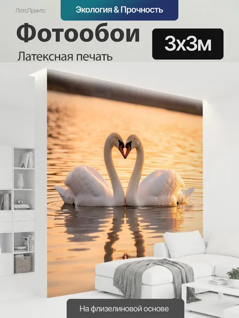 300 × 300 см · Латексная печать
