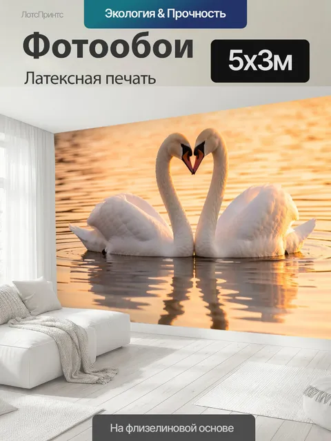 500 × 300 см · Латексная печать