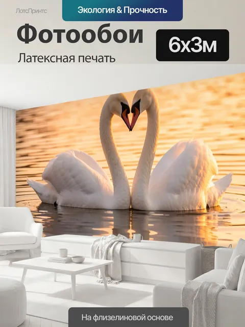 600 × 300 см · Латексная печать