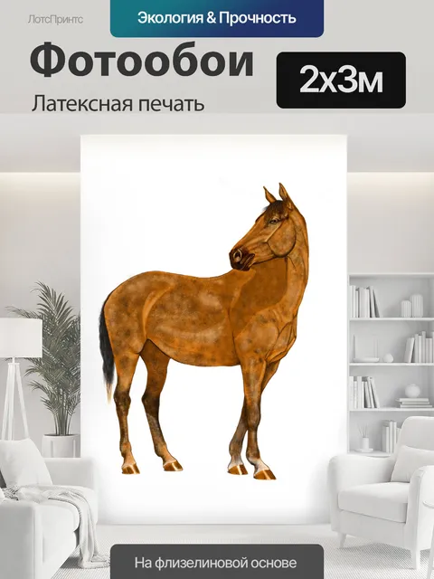 200 × 300 см · Латексная печать