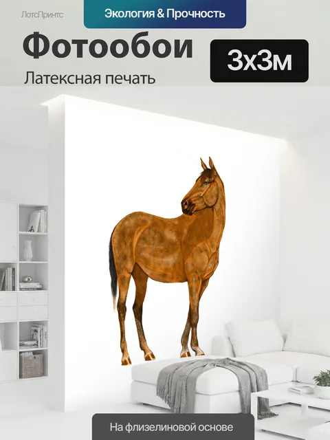 300 × 300 см · Латексная печать