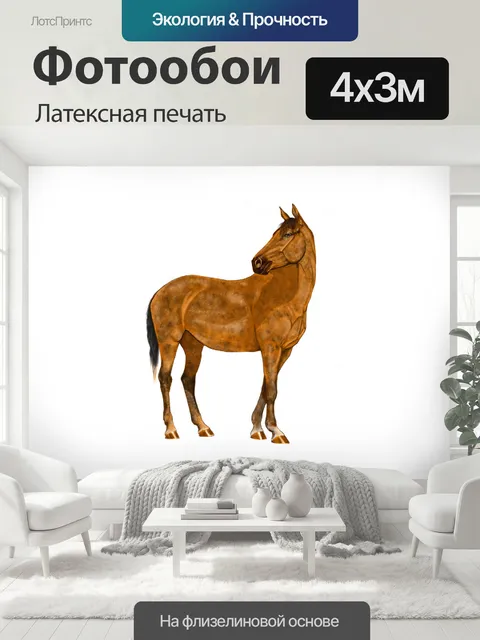 400 × 300 см · Латексная печать
