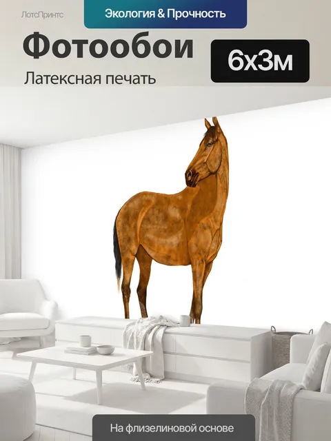 600 × 300 см · Латексная печать