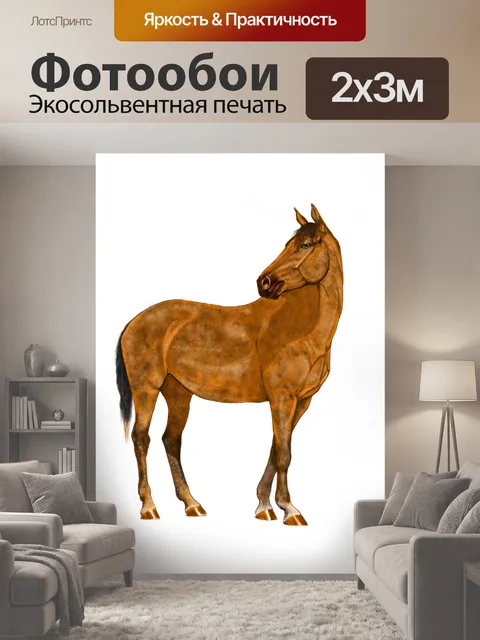 200 × 300 см · Экосольвентная печать