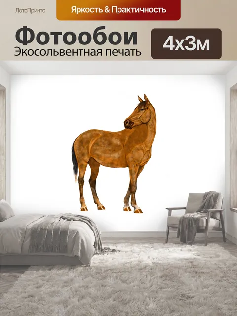 400 × 300 см · Экосольвентная печать