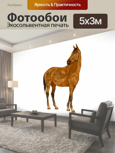 500 × 300 см · Экосольвентная печать