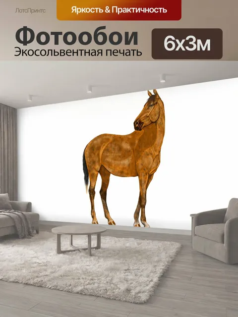 600 × 300 см · Экосольвентная печать