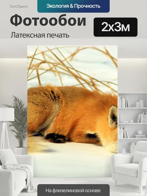 200 × 300 см · Латексная печать