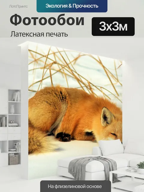 300 × 300 см · Латексная печать