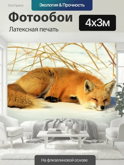 400 × 300 см · Латексная печать
