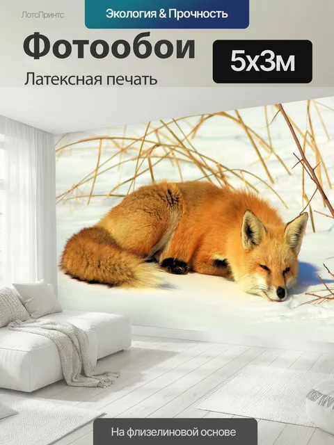 500 × 300 см · Латексная печать