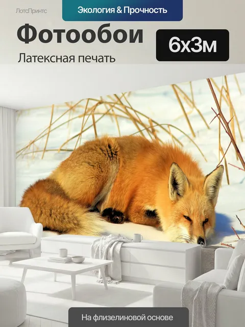 600 × 300 см · Латексная печать