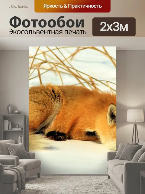 200 × 300 см · Экосольвентная печать