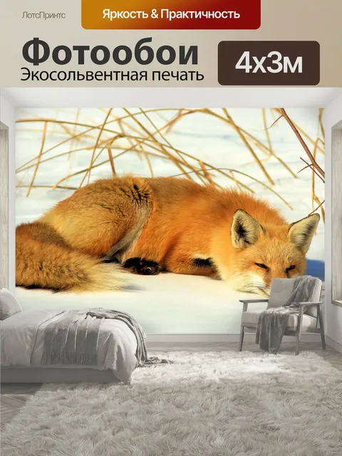 400 × 300 см · Экосольвентная печать