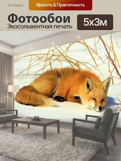 Фотообои Фокс в снегу Красная лиса