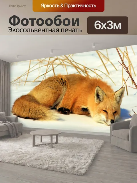600 × 300 см · Экосольвентная печать