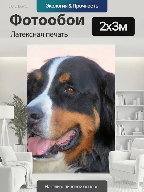 200 × 300 см · Латексная печать