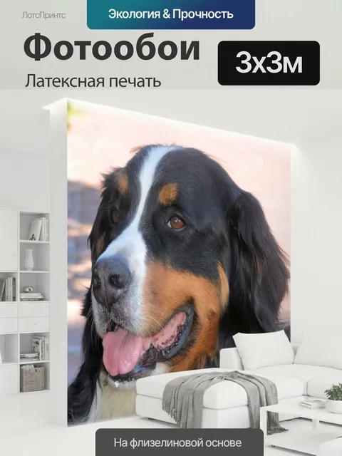 300 × 300 см · Латексная печать
