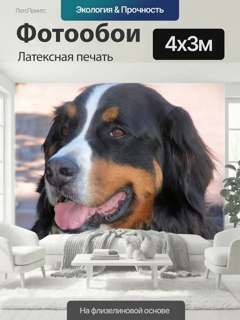 400 × 300 см · Латексная печать