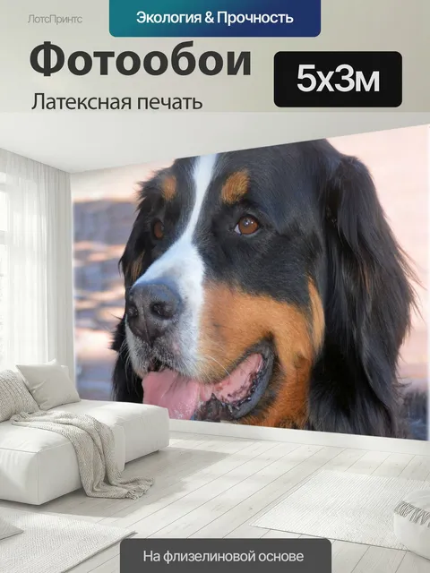 500 × 300 см · Латексная печать