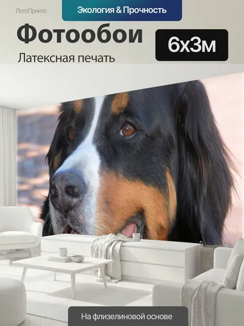600 × 300 см · Латексная печать