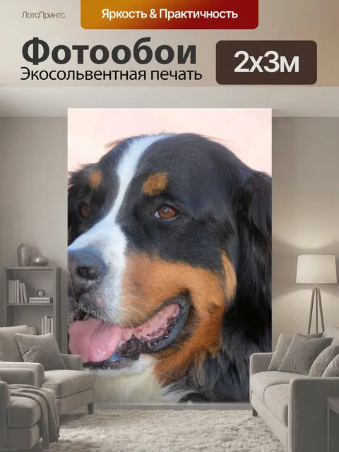 200 × 300 см · Экосольвентная печать
