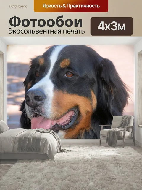 400 × 300 см · Экосольвентная печать