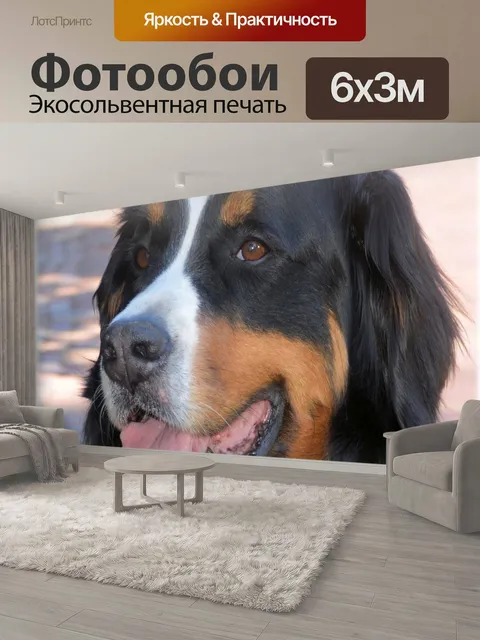 600 × 300 см · Экосольвентная печать