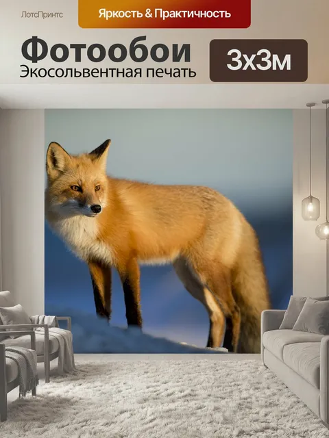 Фотообои Лиса, собачий, всеядный