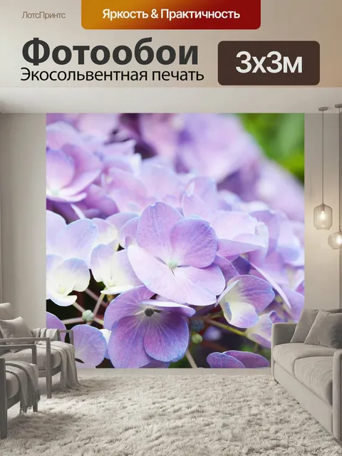 Фотообои Гортензия, фиолетовый, свежий