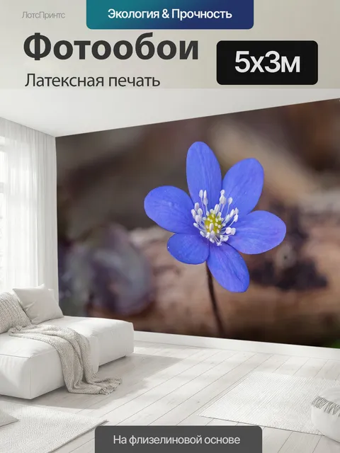 500 × 300 см · Латексная печать