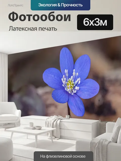 600 × 300 см · Латексная печать