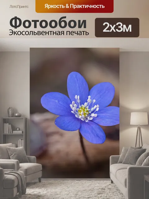200 × 300 см · Экосольвентная печать